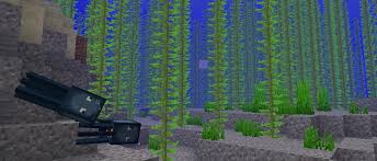 kelp minecraft